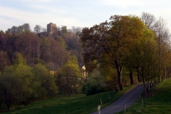 Hofefeld_Burg_2