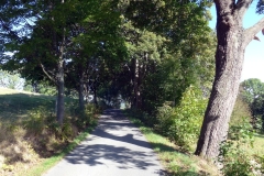 Hofefeld_Weg