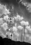Wieland Payer, Antennenwald, 2007, charcoal on paper, 100 x 70 cm