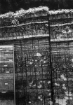 Wieland Payer, Schicht, 2007, charcoal on paper, 100 x 70 cm