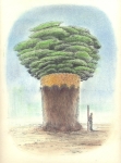 Wieland Payer, Baumartiger V, 2009, pastel and charcoal on paper, 22 x 31 cm