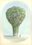 Wieland Payer, Baumartiger VI, 2009, pastel and charcoal on paper, 22 x 31 cm