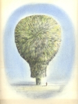 Wieland Payer, Baumartiger VII, 2009, pastel and charcoal on paper, 22 x 31 cm