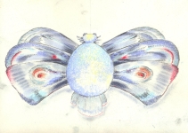 Wieland Payer, Falter VII, 2009, pastel and charcoal on paper, 19 x 28 cm