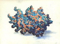Wieland Payer, Mineral II, 2009, pastel and charcoal on paper, 17 x 23 cm