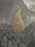 Wieland Payer, Pionier III, 2010, charcoal and pastel on paper, 40 x 30 cm