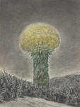 Wieland Payer, Pionier IV, 2010, charcoal and pastel on paper, 40 x 30 cm