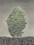 Wieland Payer, Pionier VIII, 2010, charcoal and pastel on paper, 40 x 30 cm
