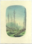 Wieland Payer, Antenna Forest, 2011, pastel, pencil and charcoal on paper, 37 x 27 cm