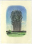 Wieland Payer, Fata Morgana, 2011, charcoal and pastel on paper, 37 x 27 cm