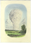 Wieland Payer, New Life, 2011, charcoal and pastell on paper, 37 x 27 cm
