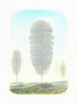 Wieland Payer, Solar, 2011, pastell and pencil on paper, 30 x 34 cm