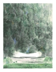 Wieland Payer, Clearance, 2011, Lithography, 56 x 43 cm