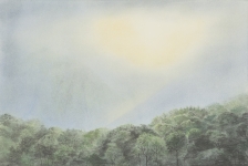 Wieland Payer, Auge, 2014, pastel and charcoal on paper on MDF, 40 x 60 cm