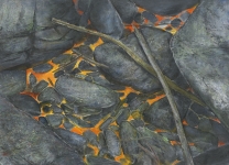 Wieland Payer, Boden, 2015, pastel and charcoal on MDF, 40 x 55 cm, Foto: Herbert Boswank