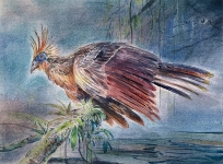 Fawks-2023-Pastell-und-Aquarell-auf-grundiertem-MDF-22x30cm