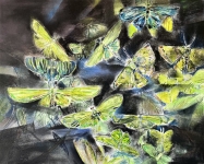 Schmetterlinge-2023-Pastell-Aquarell-und-Tusche-auf-grundiertem-MDF-32x40cm-